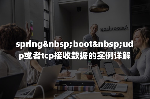 spring-boot-udp-tcp-apispace