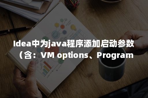 idea-java-vm-options-program-arguments-environment-variable