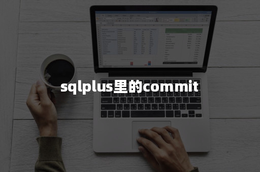 sqlplus-commit-apispace