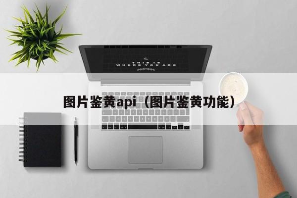 图片鉴黄api（图片鉴黄功能）